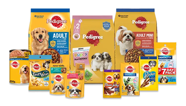 dog-supplement
